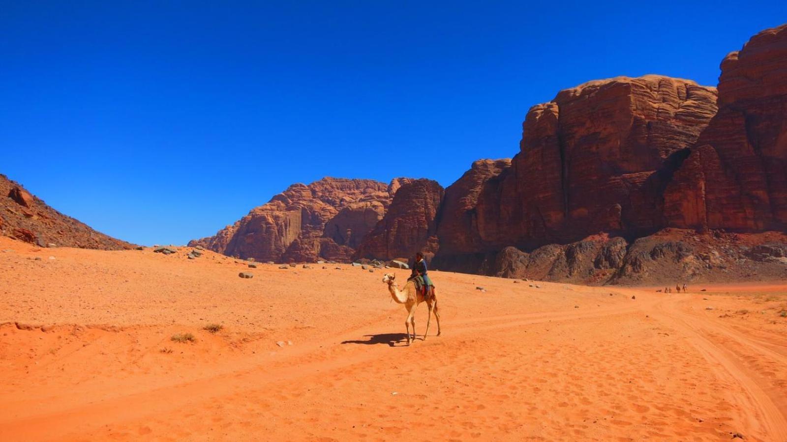Wadi Rum Magic Nature Camp Extérieur photo